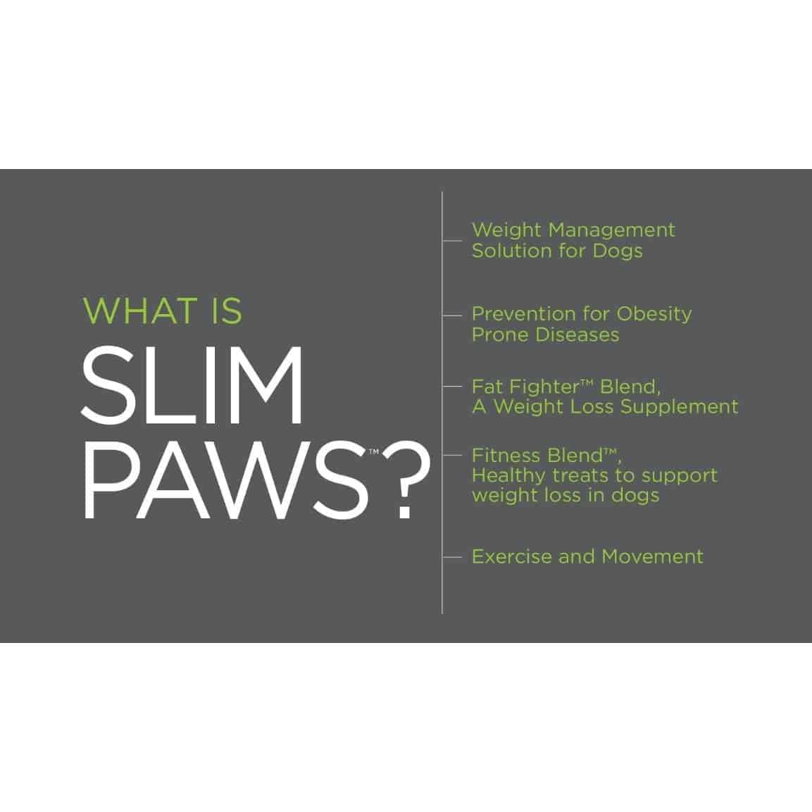 Weight Loss Soft Chews for Dogs 60 ct V582