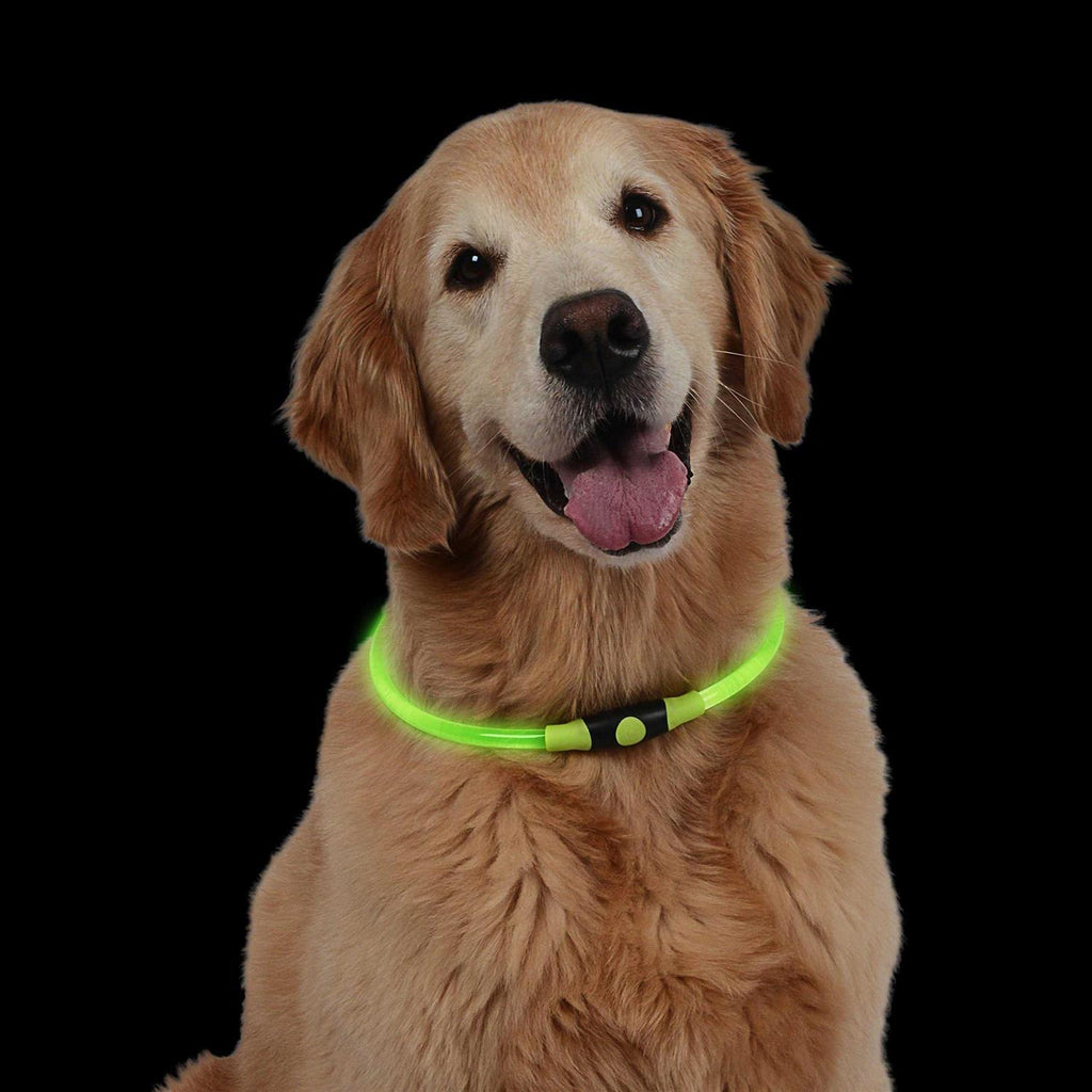 LED Safety Necklace S716870
