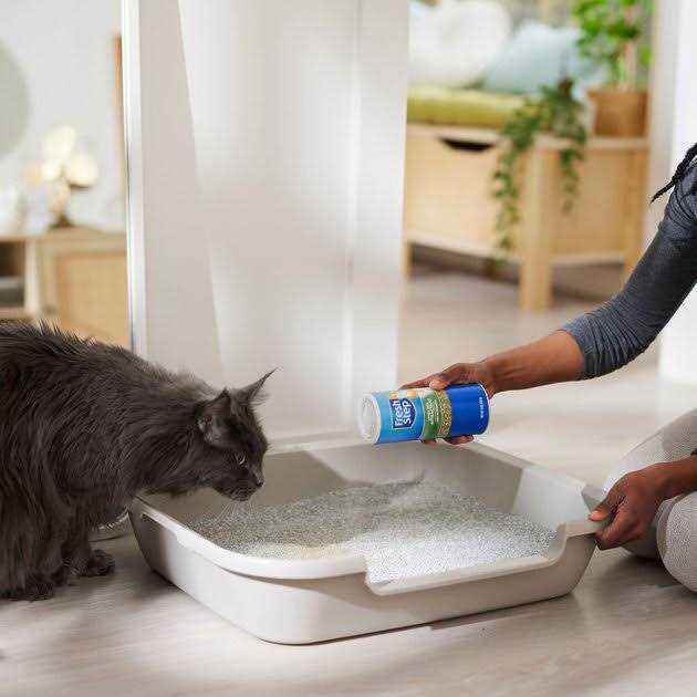 Litter Box Attractant Powder Q200