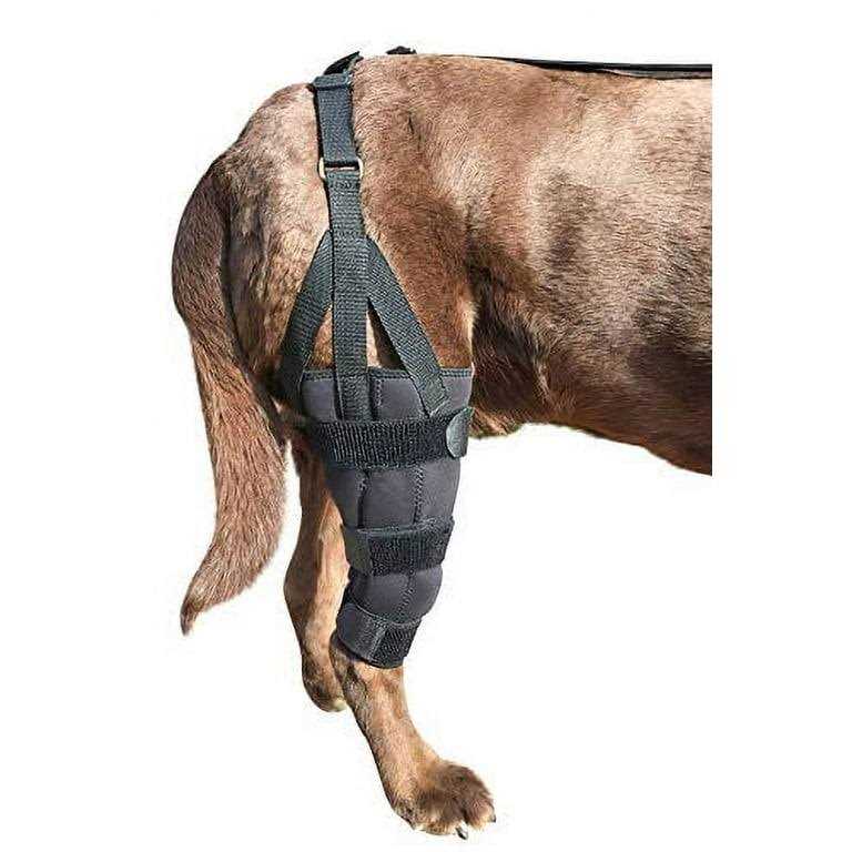 Dog Knee Brace Wrap Metal Hinged Flexible Support U419724