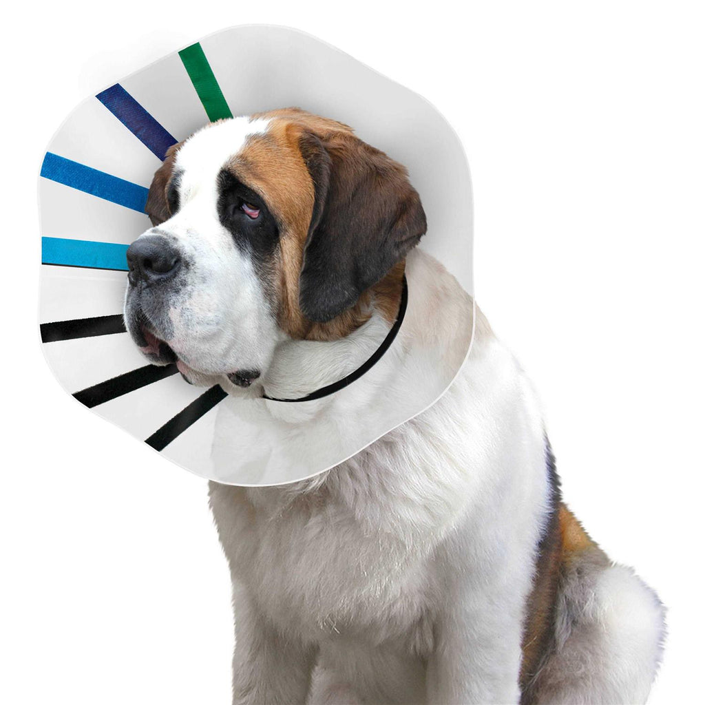 Clear Collar N754129