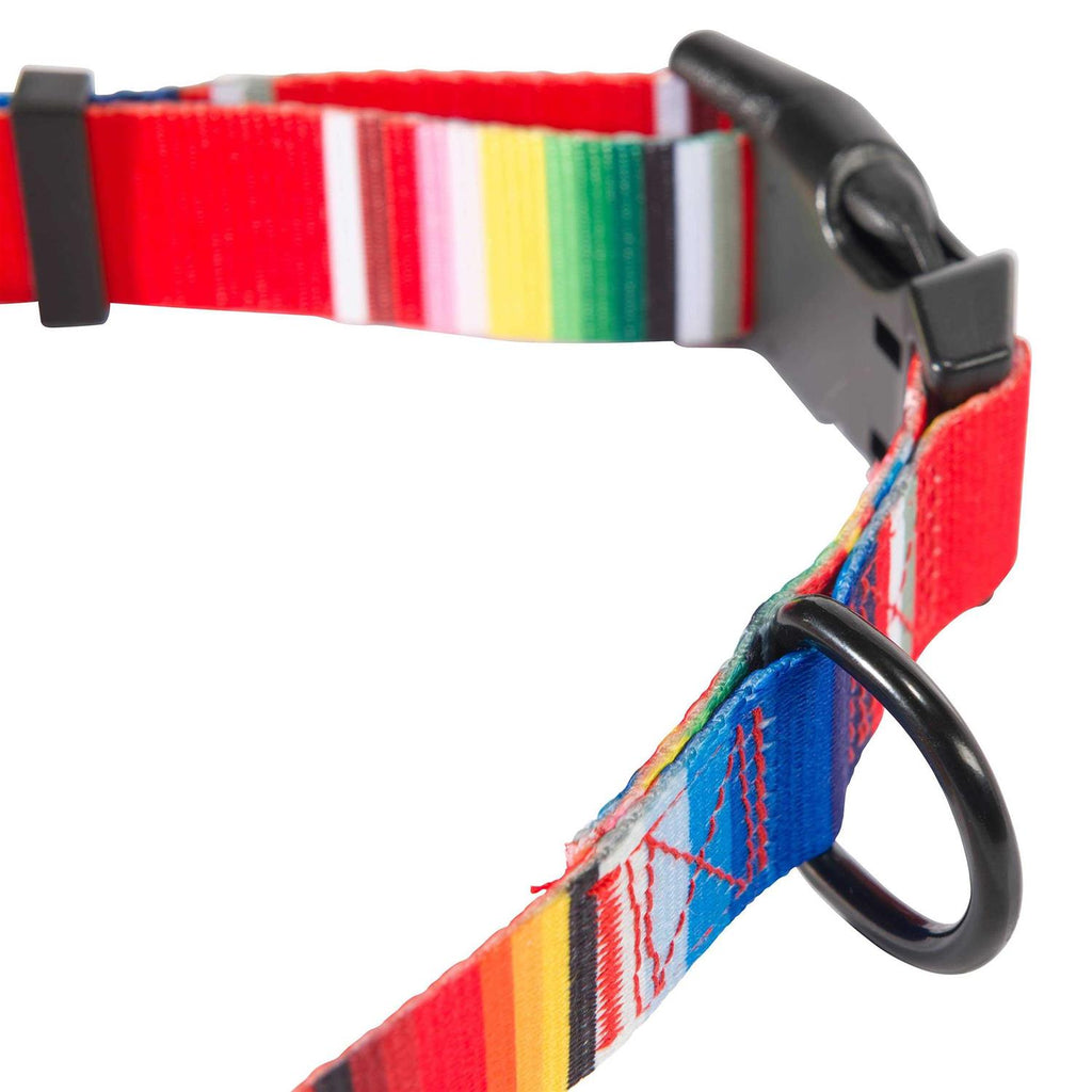 Dog Collar R505190