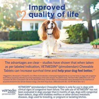 2.5mg 50 Chewable Tablets Z6079