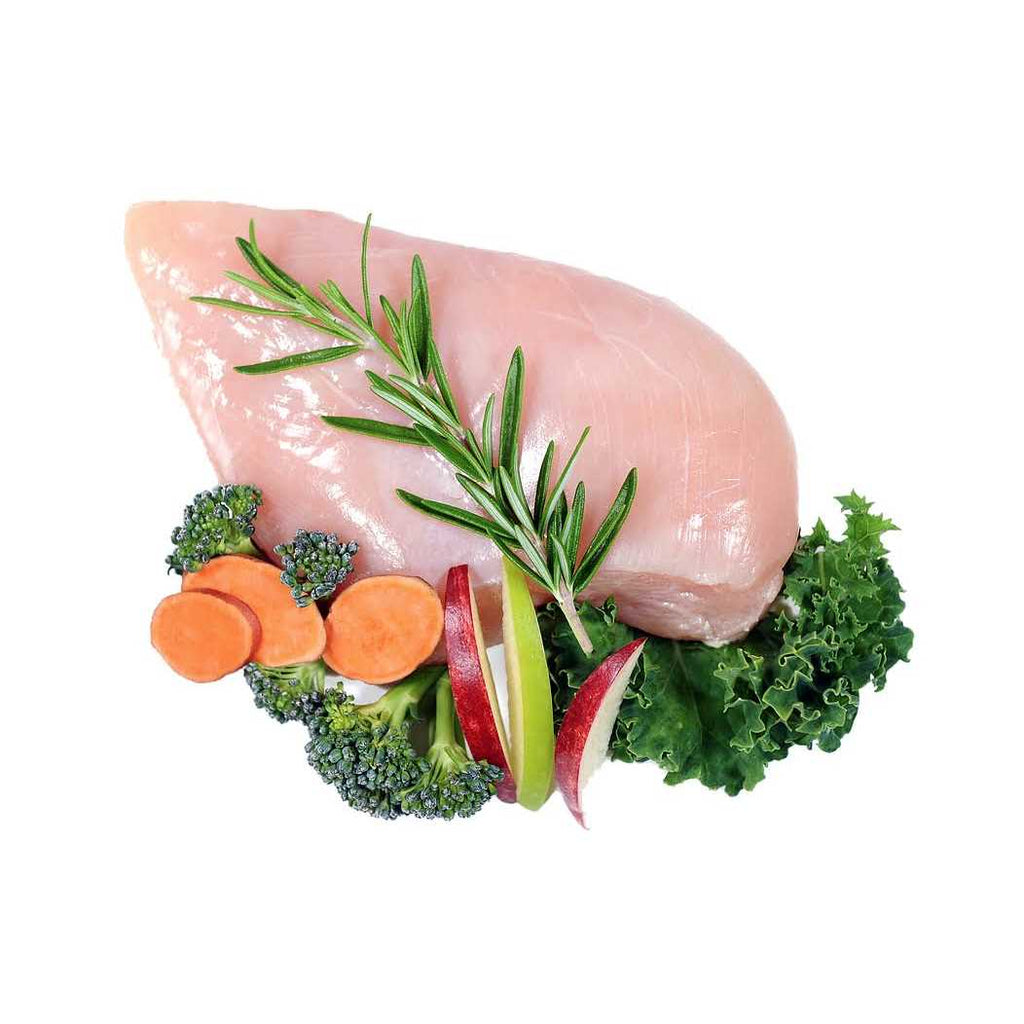 Chicken Freeze-Dried Dog Food Z388567