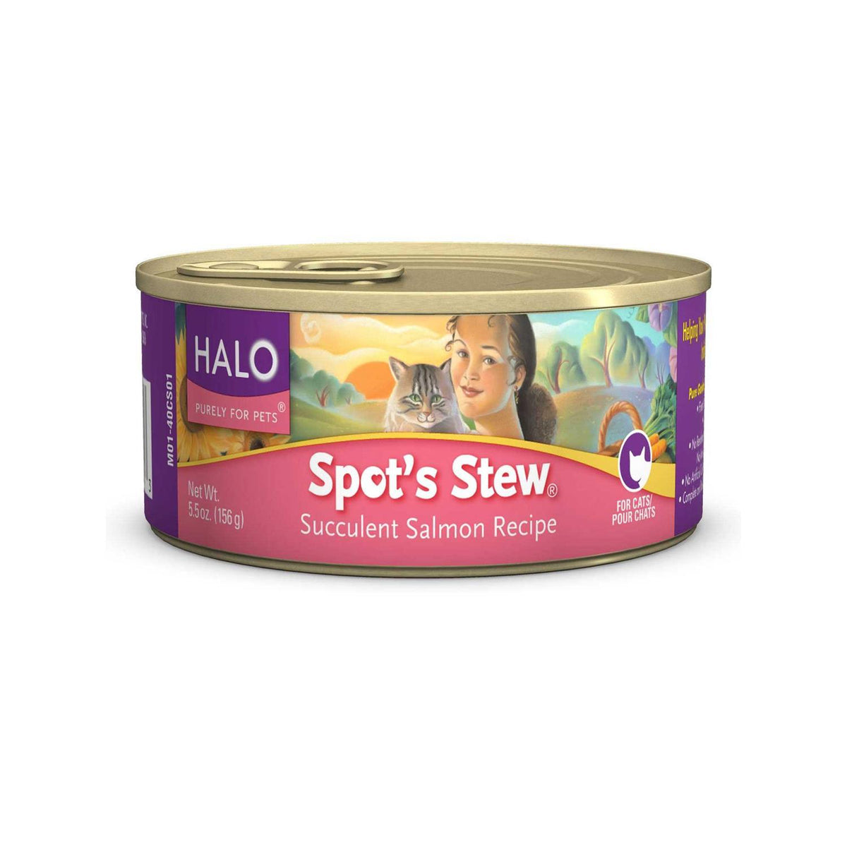 Grain Free Salmon Stew Cat Food Q166982
