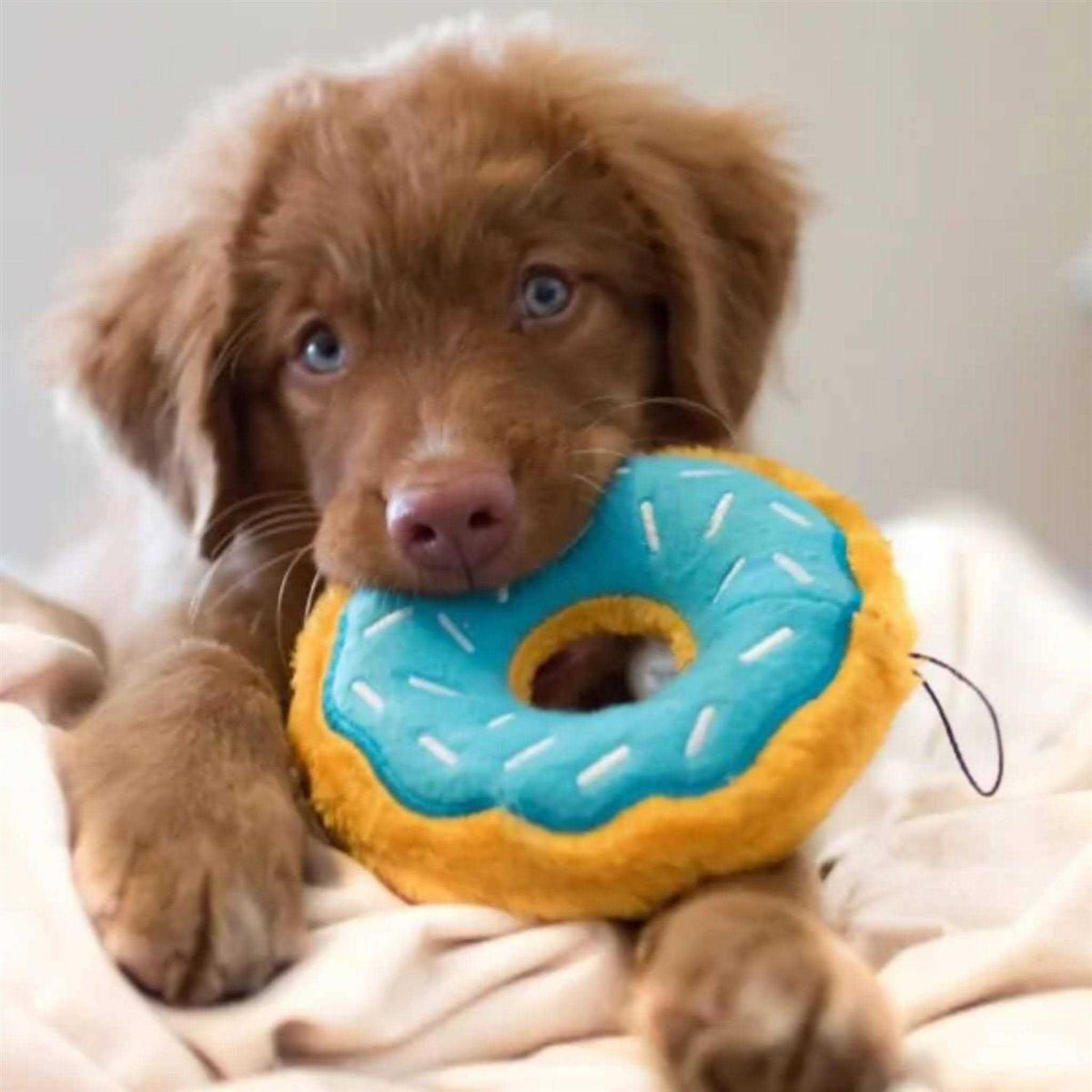 Dog Toy F979067