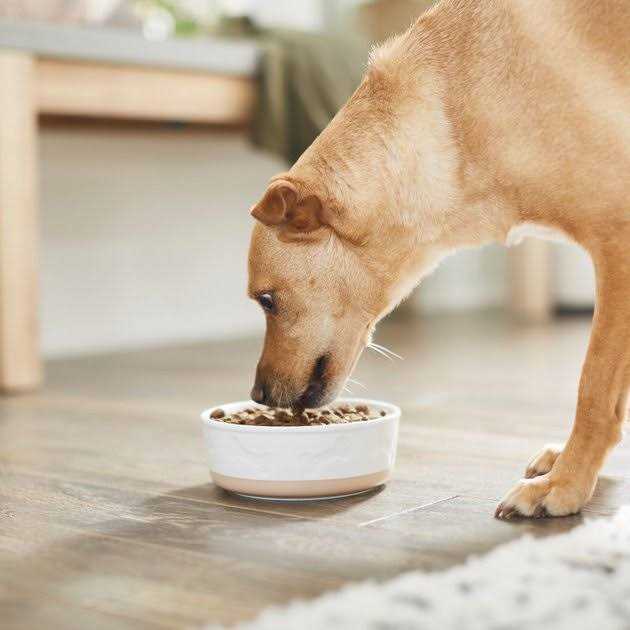 Ceramic Dog & Cat Bowl R11795