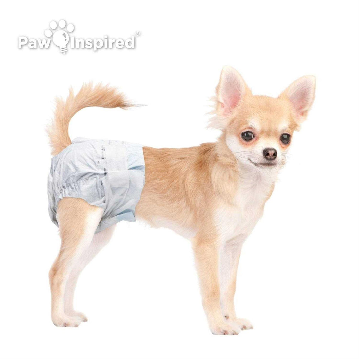 Disposable Female Dog Diapers K173
