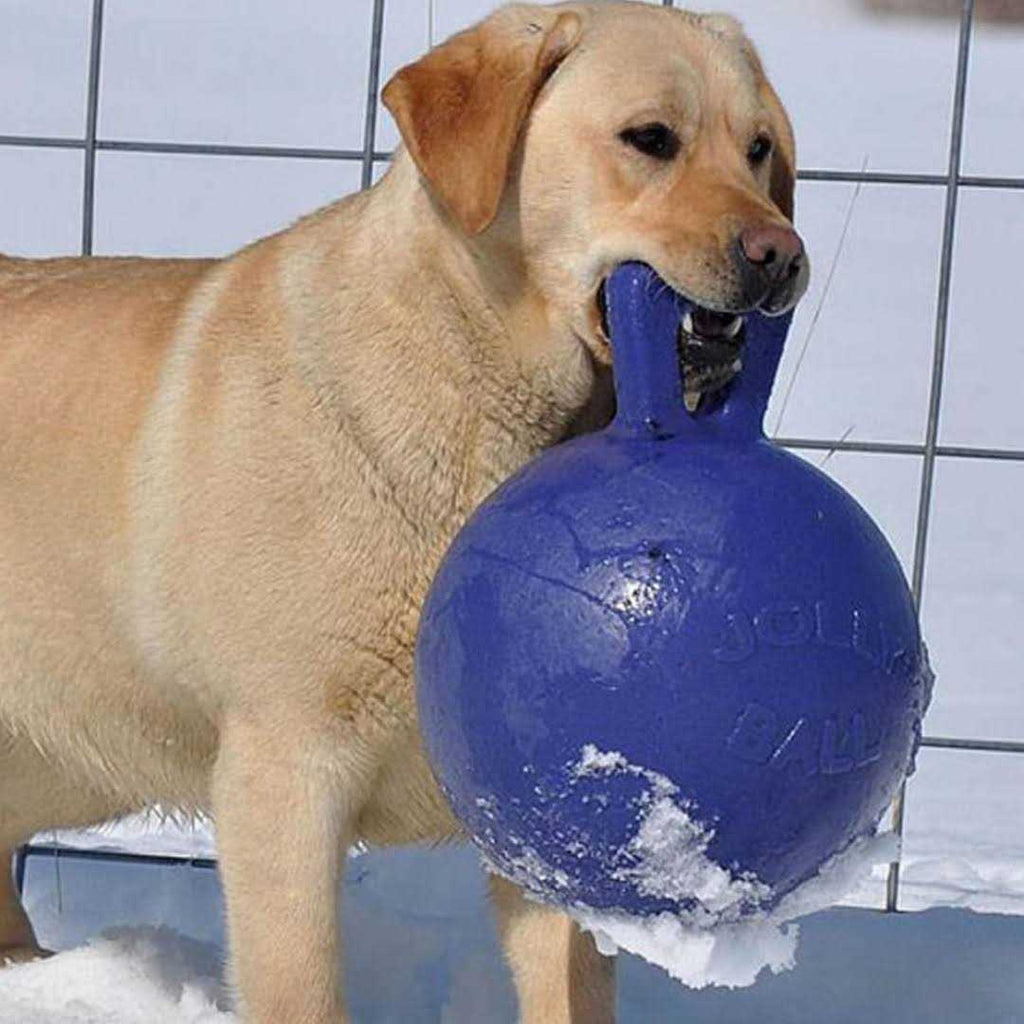Tug N Toss Ball B842