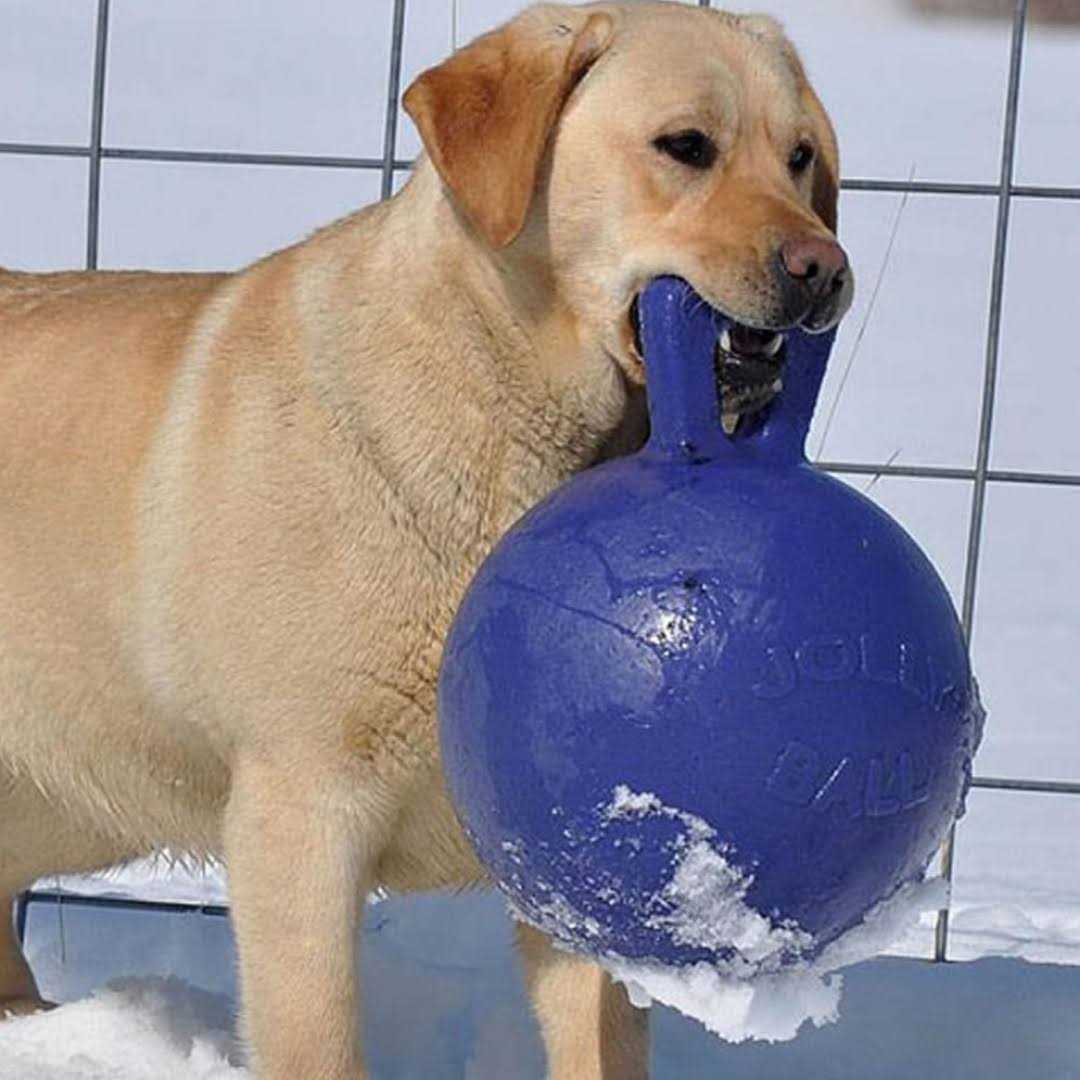 Tug N Toss Ball B842