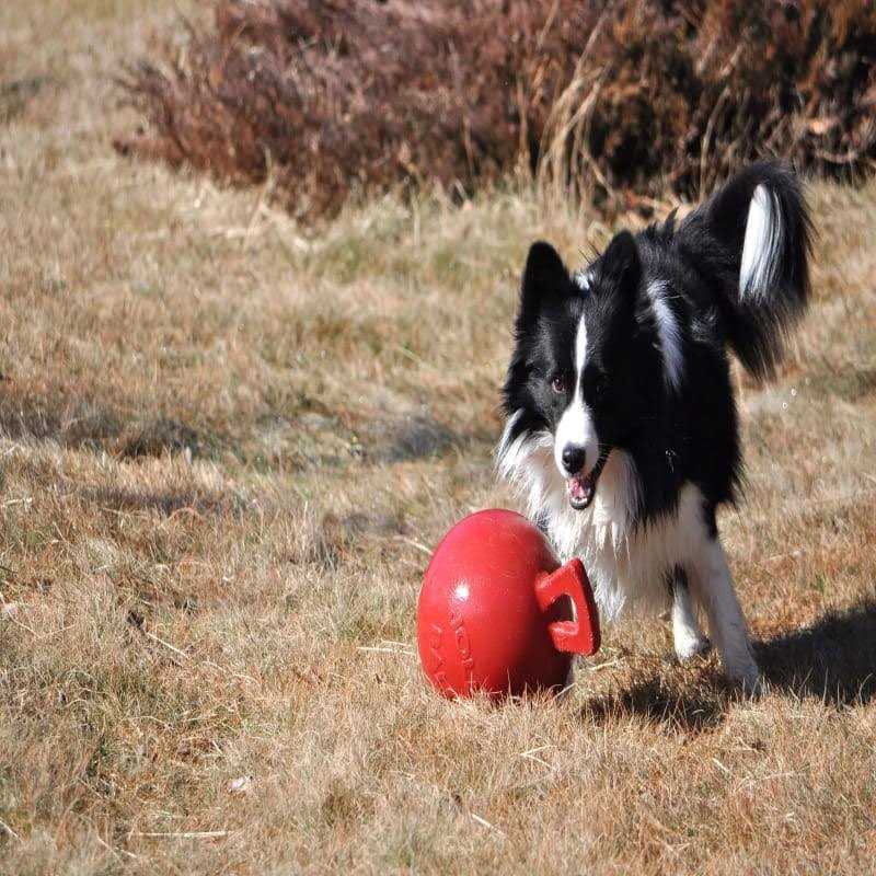 Tug N Toss Ball B842