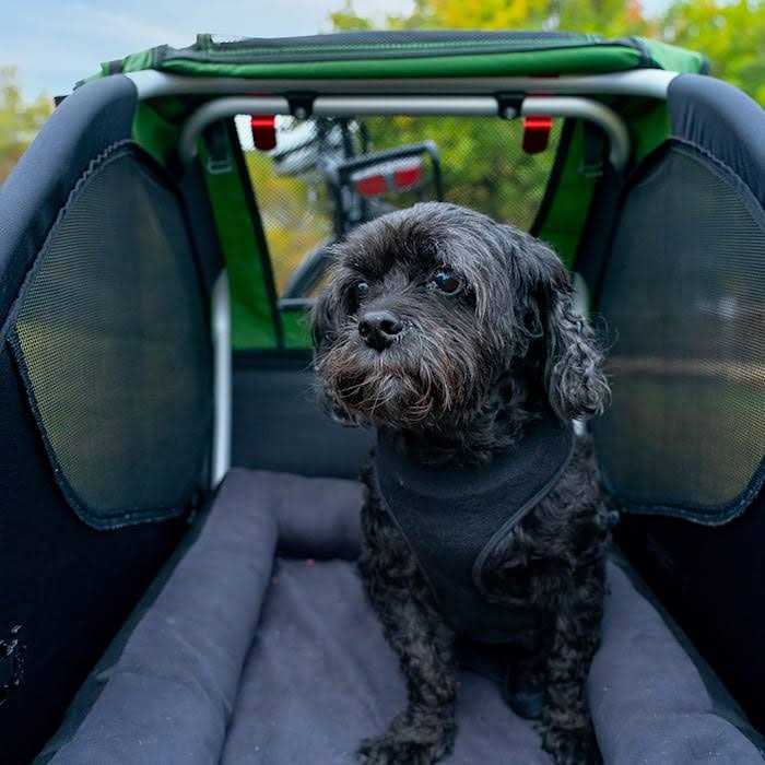 Pet Bed V1637