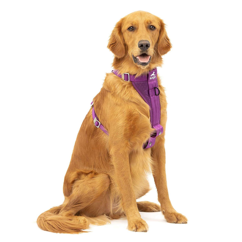 Dog Harness G618