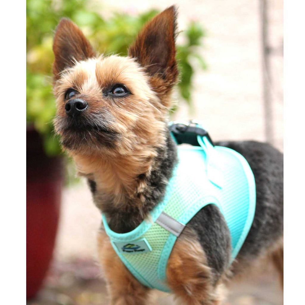 Choke Free Dog Harness X274