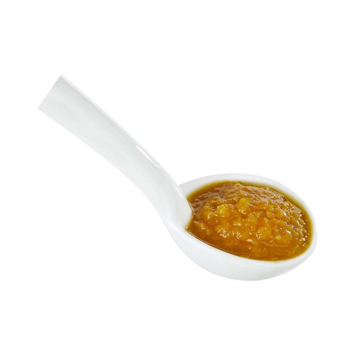 Pumpkin Soup Puree Dog Meal Topper M73719