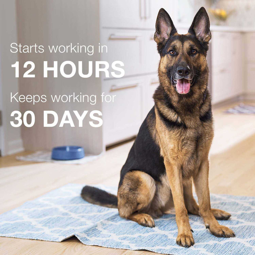 Advantage II for Dogs 3 T96281