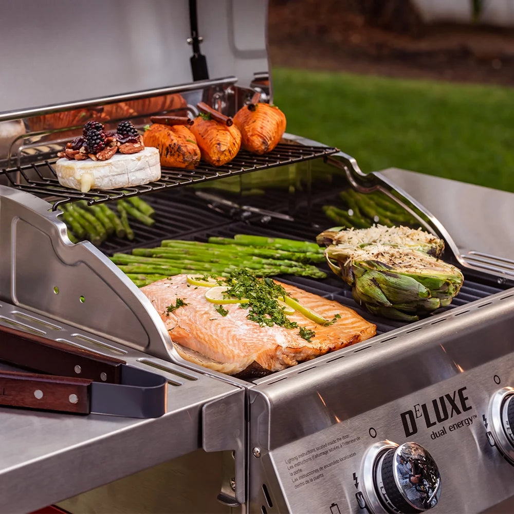 2-Burner Propane Gas Grill with 2 Foldable Shelves V703