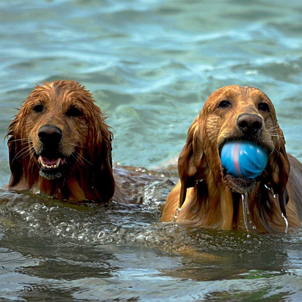 Automatic Interactive Dog Ball Toy V950