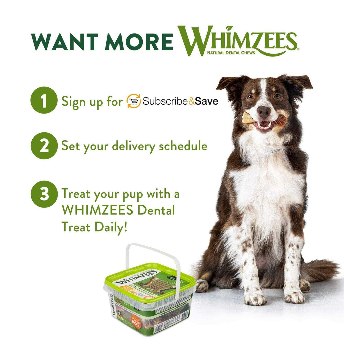 Variety Pack Dental Dog Treats Z3137