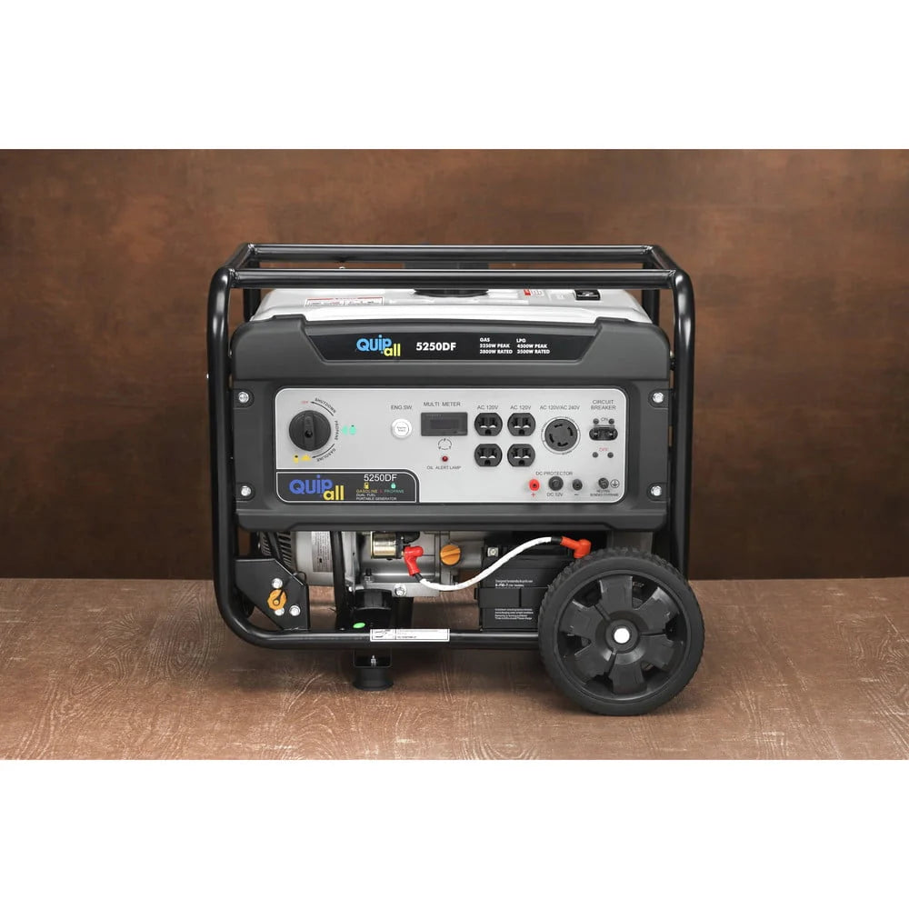Portable Dual Fuel Gas Generator with Electric Start N39211