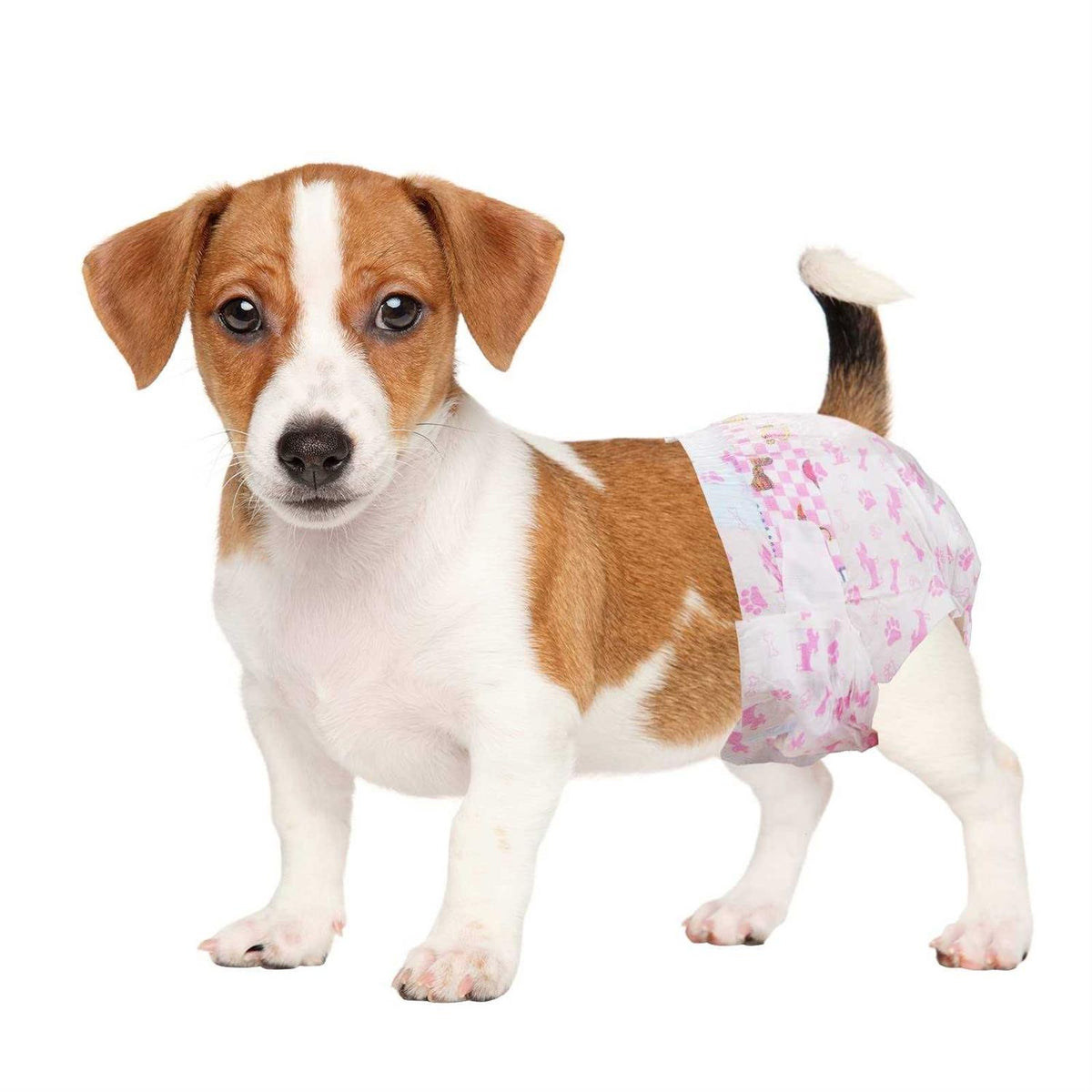 Disposable Dog Diapers Female Super Absorbent J9690
