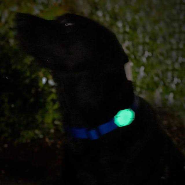 Waterproof AirTag Dog Collar Mount I60933