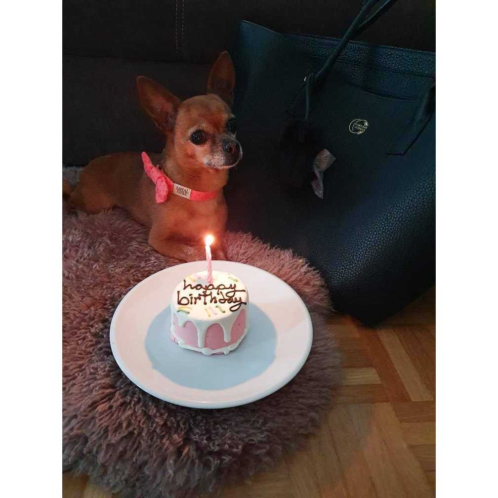 Pink Birthday Cake D8342