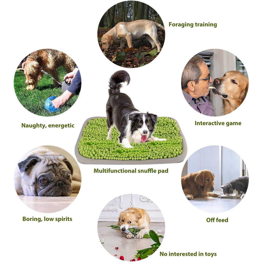 21x16 Inch Snuffle Mat for Dogs W66992