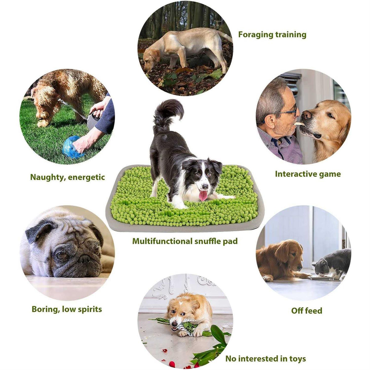 21x16 Inch Snuffle Mat for Dogs W66992