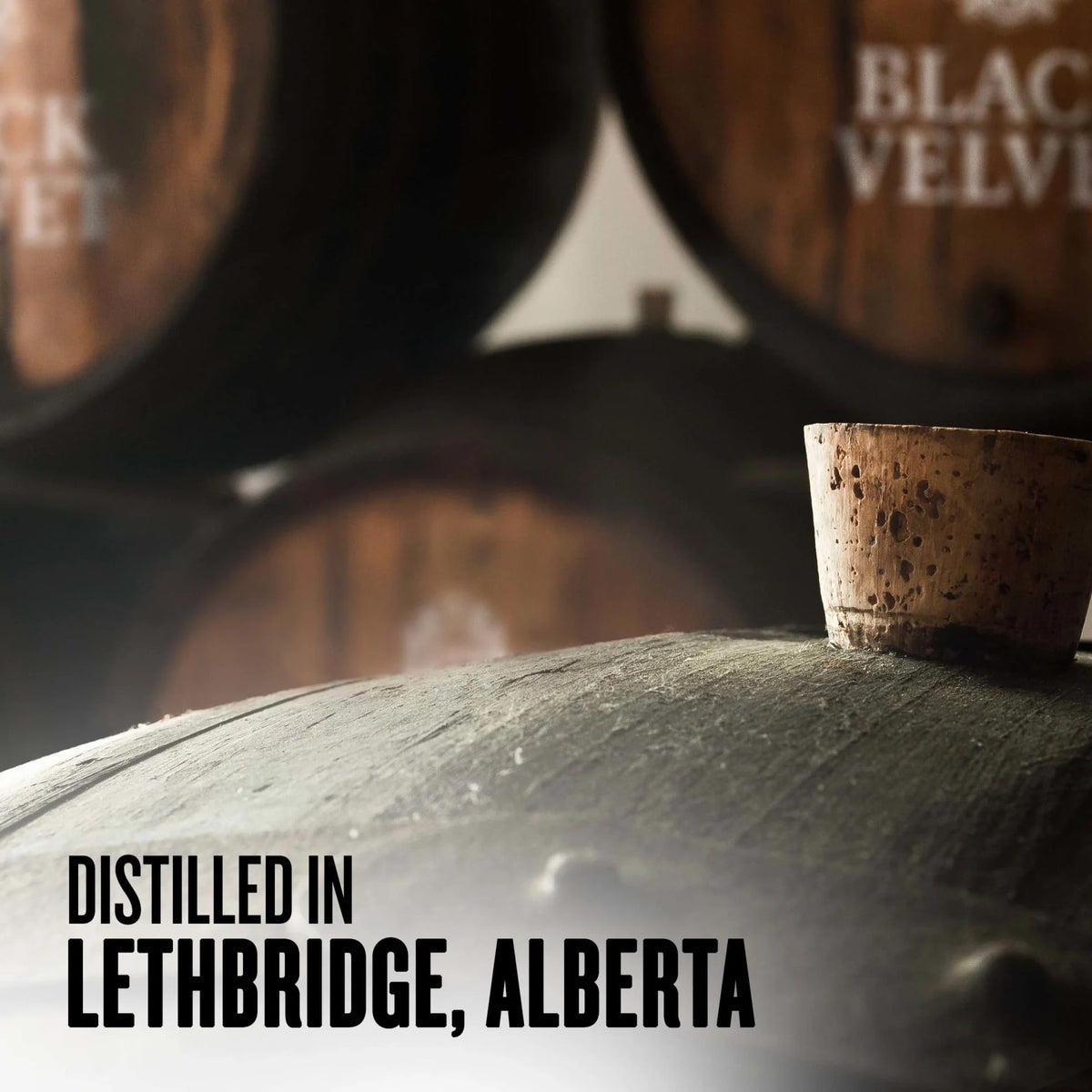 Black Velvet Canadian Whisky 1.75 L C62356