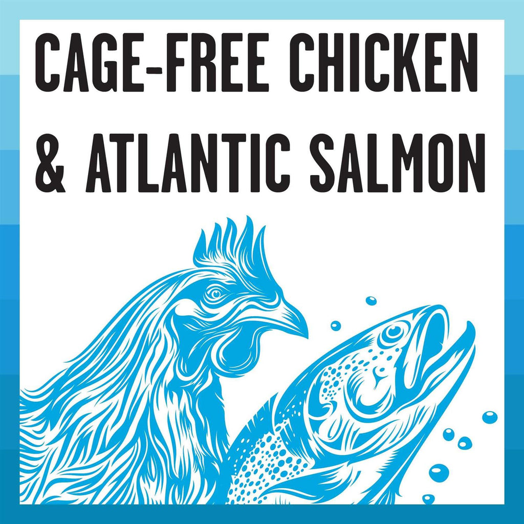 Chicken Recipe Shredded Canned Cat Food F163305