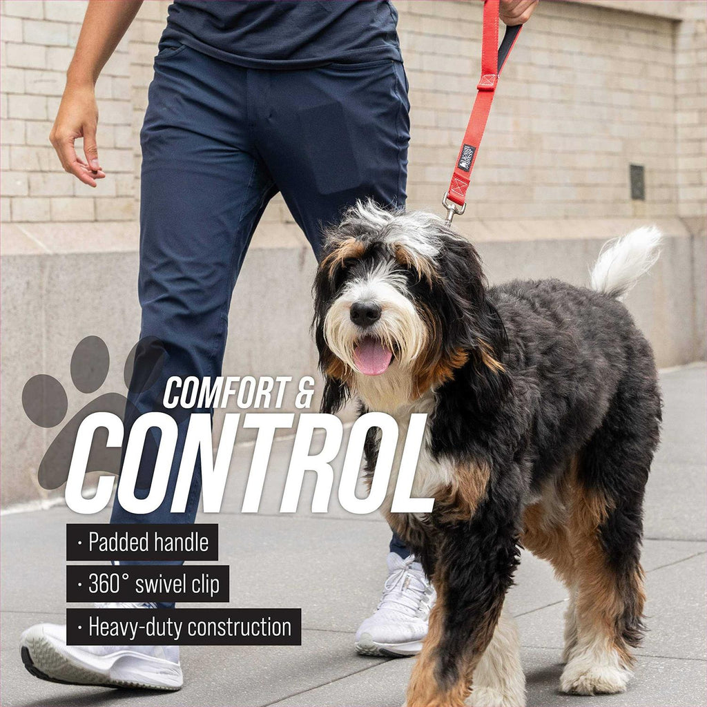 Padded Handle Short Dog Leash A1244