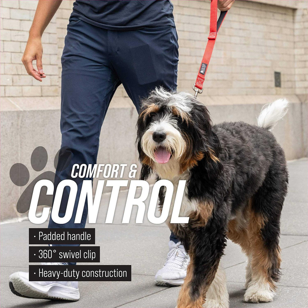 Padded Handle Short Dog Leash A1244