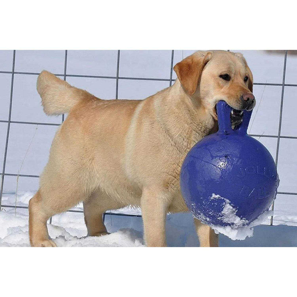 Tug N Toss Ball B842