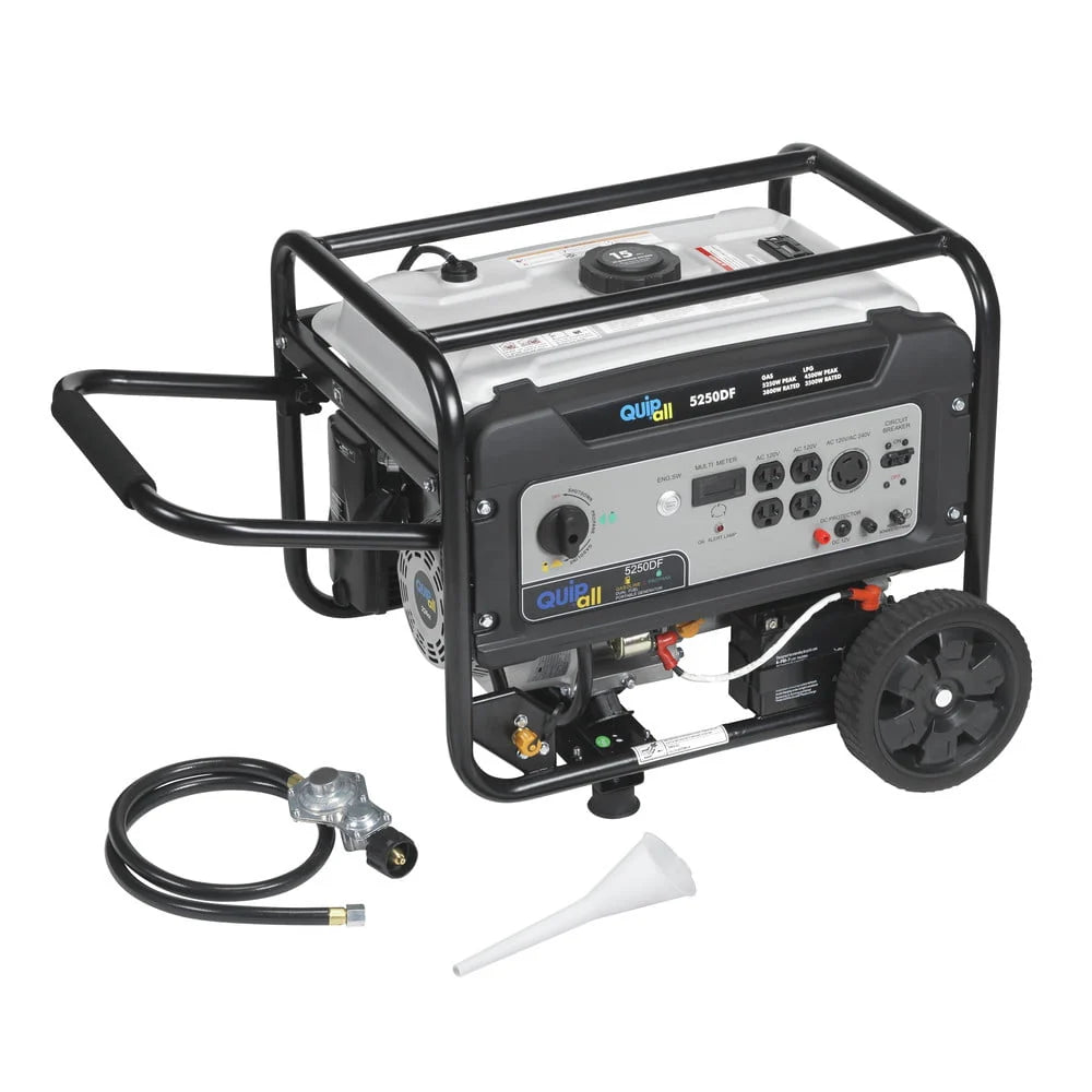 Portable Dual Fuel Gas Generator with Electric Start N39211