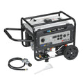 Portable Dual Fuel Gas Generator with Electric Start N39211
