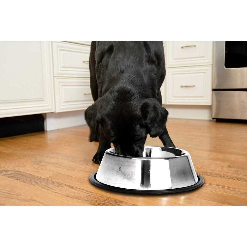 2 Pack Stainless Steel Non-Skid Pet Bowl P60517