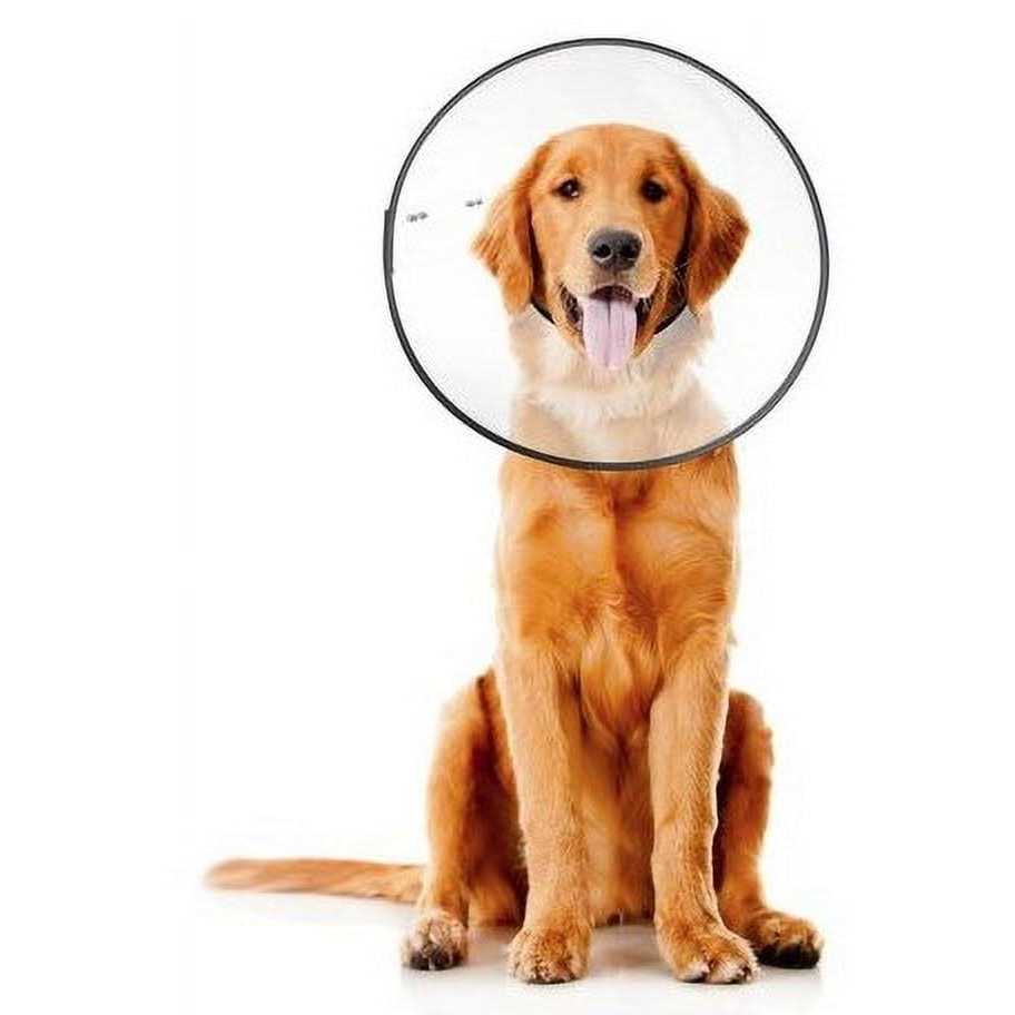 Clear Recovery Collar L606