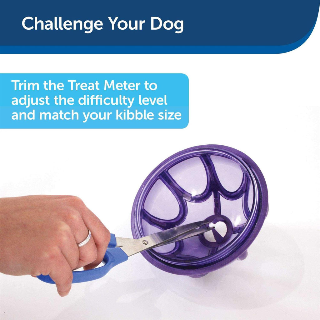 Kibble Nibble Dog Toy E653