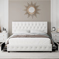 Queen Size Velvet Storage Bed with 4 Drawers R204