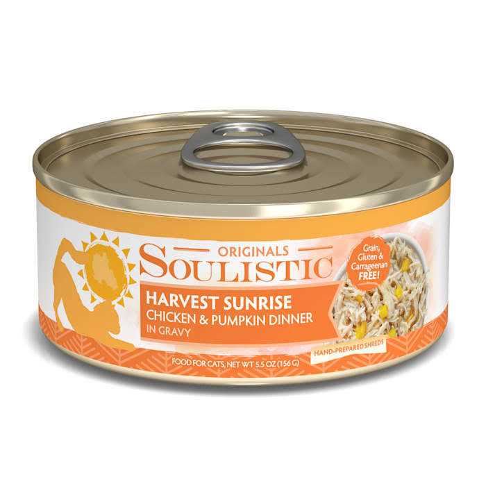 Chicken & Pumpkin Dinner in Gravy Wet Cat Food S821101
