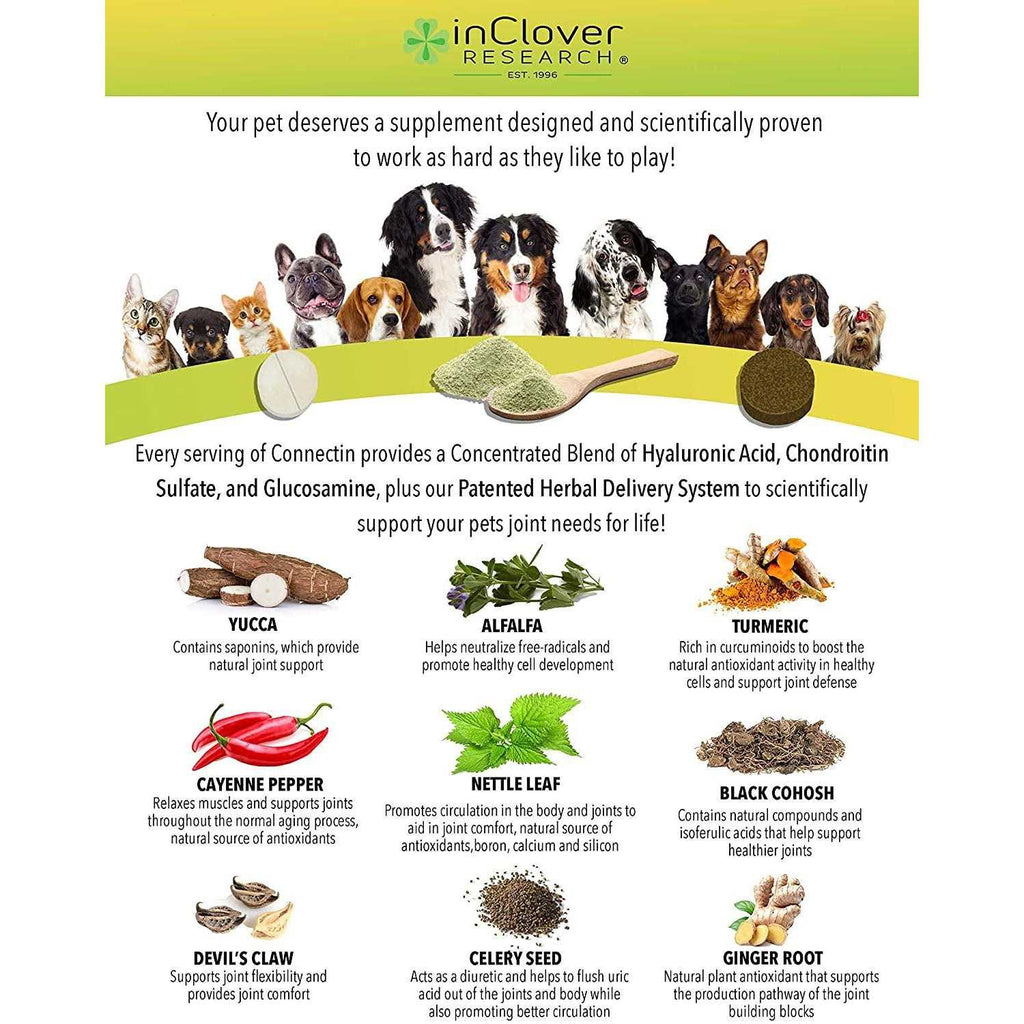 Hip & Joint Soft Chews for Large Dogs C349476