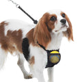 Nylon Mesh Dog Harness G966216