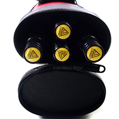 Pool Cue Sticks with Case J5793