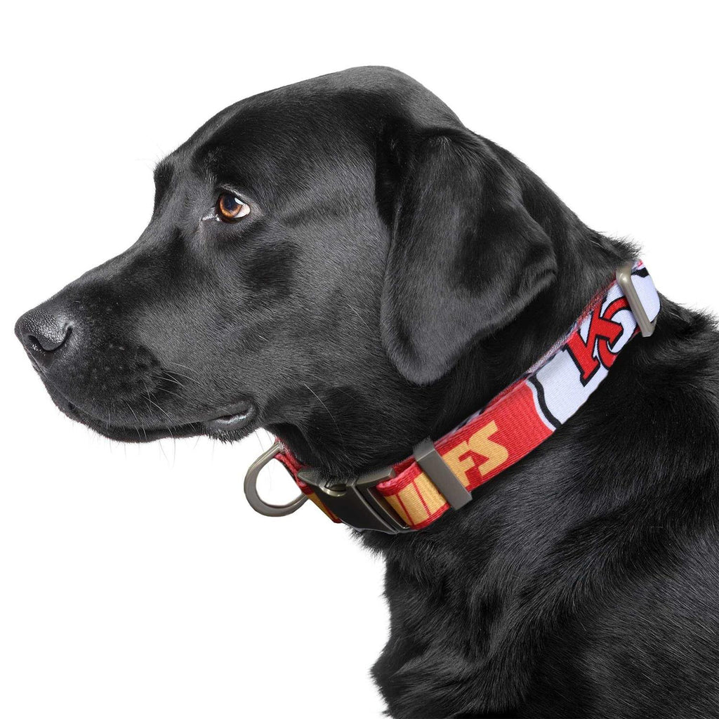 Pet Collar F4737