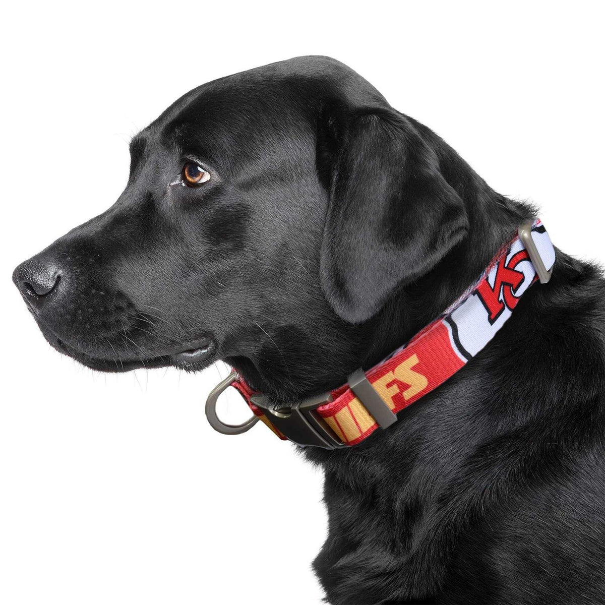 Pet Collar F4737