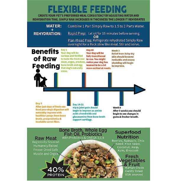 Freeze-Dried Raw Whole Food Meal U9994