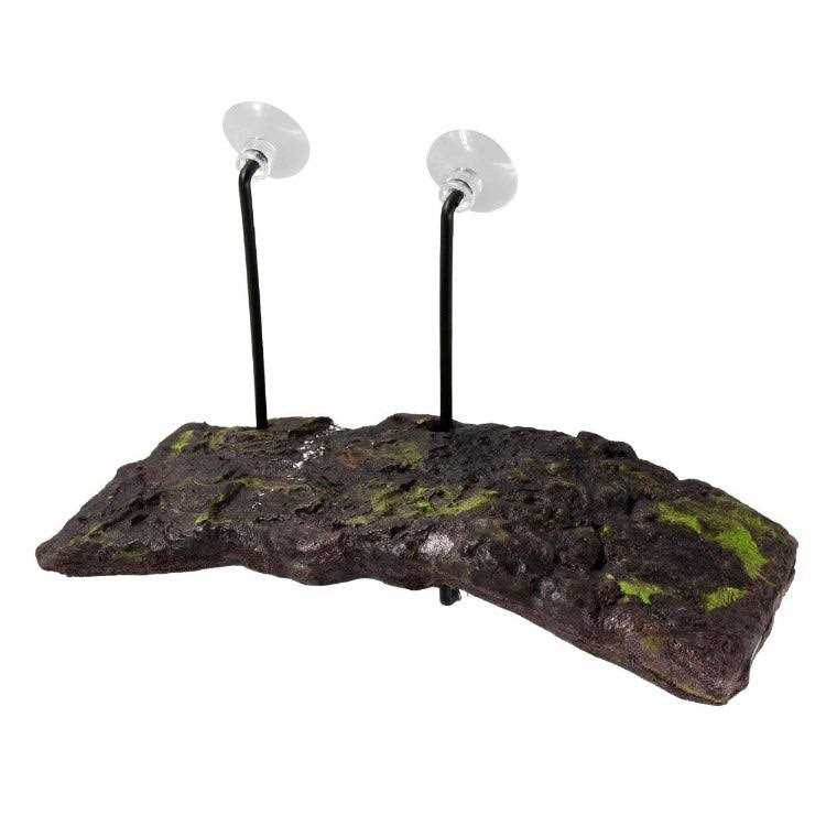 Turtle Dock Suction Cups I822