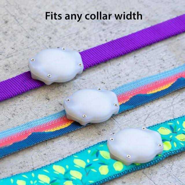 Waterproof AirTag Dog Collar Mount I60933