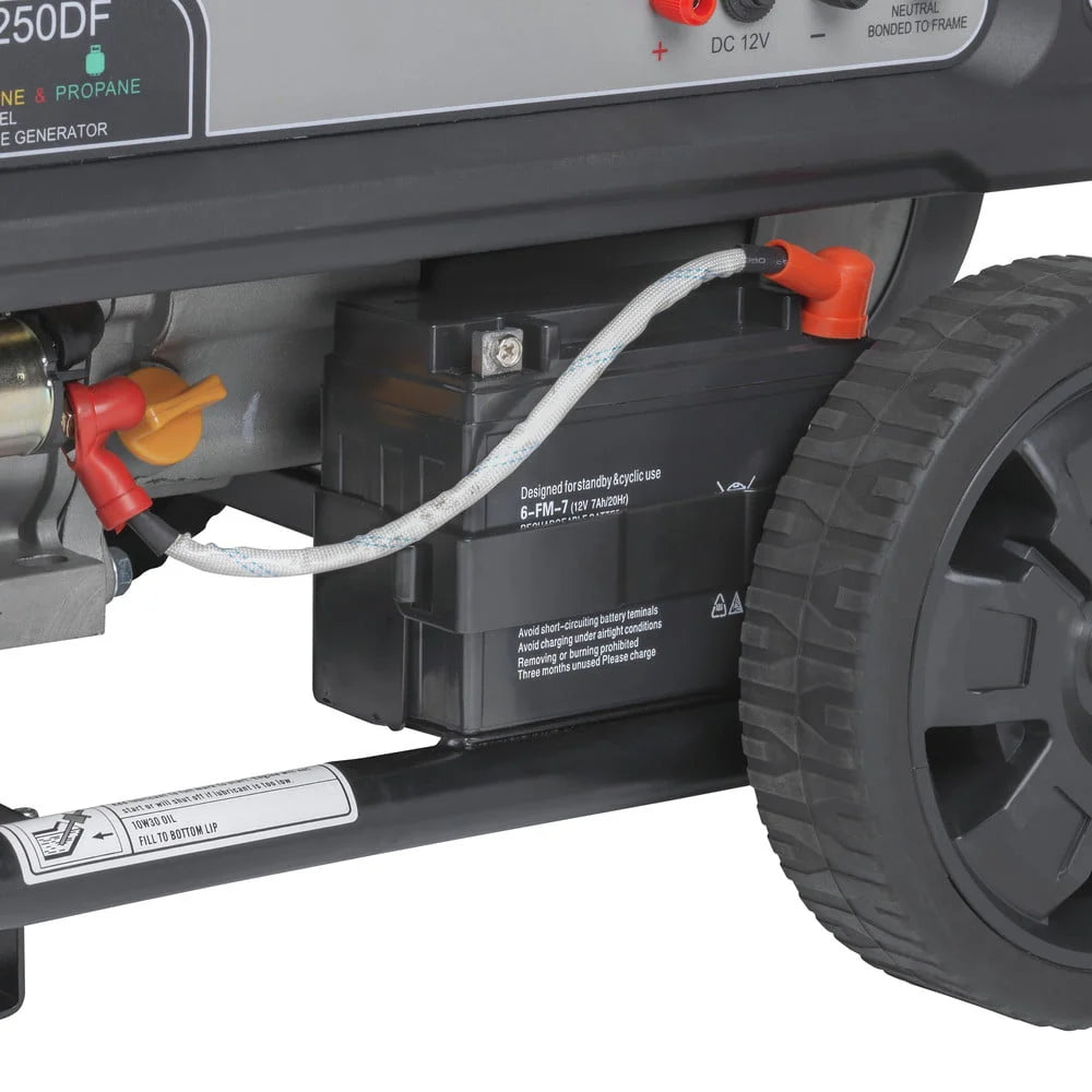 Portable Dual Fuel Gas Generator with Electric Start N39211